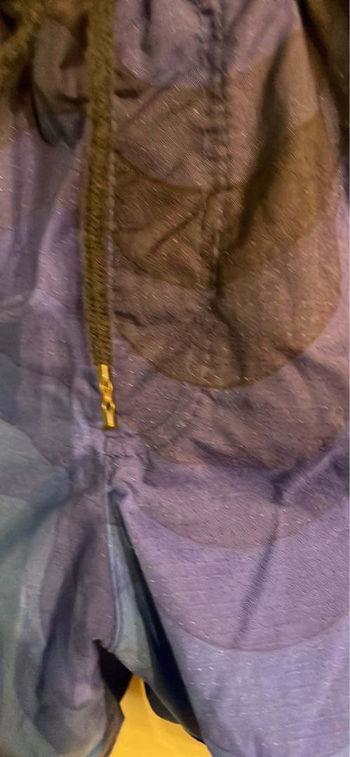 ドリスバンノッテン青 Dries Van Notenグラデーションショートパンツ