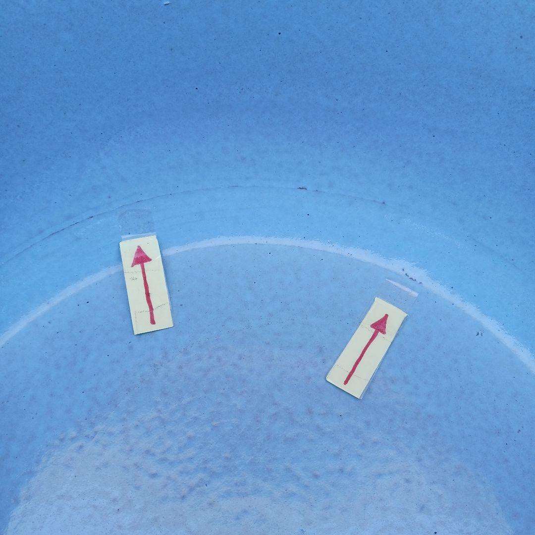 新品　特大50　陶器　睡蓮鉢　メダカ鉢　難有　ラリマーブルー　スカイブルーLWC