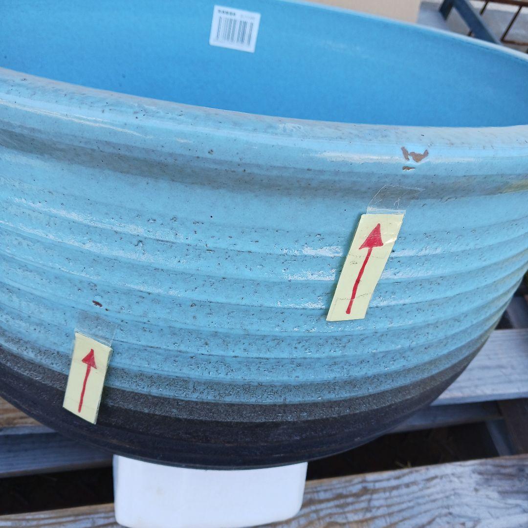 新品　特大50　陶器　睡蓮鉢　メダカ鉢　難有　ラリマーブルー　スカイブルーLWC