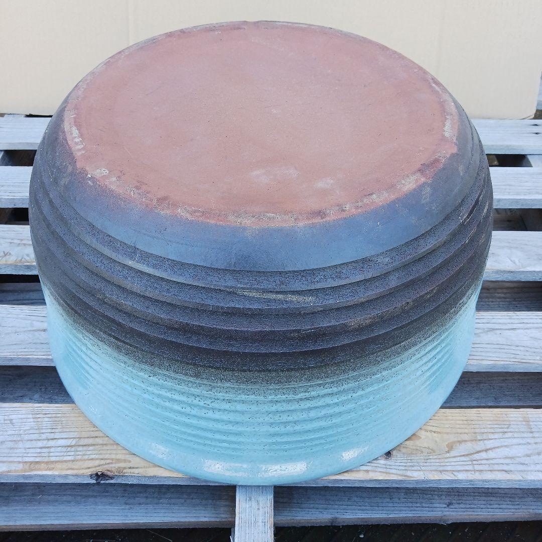 新品　特大50　陶器　睡蓮鉢　メダカ鉢　難有　ラリマーブルー　スカイブルーLWC