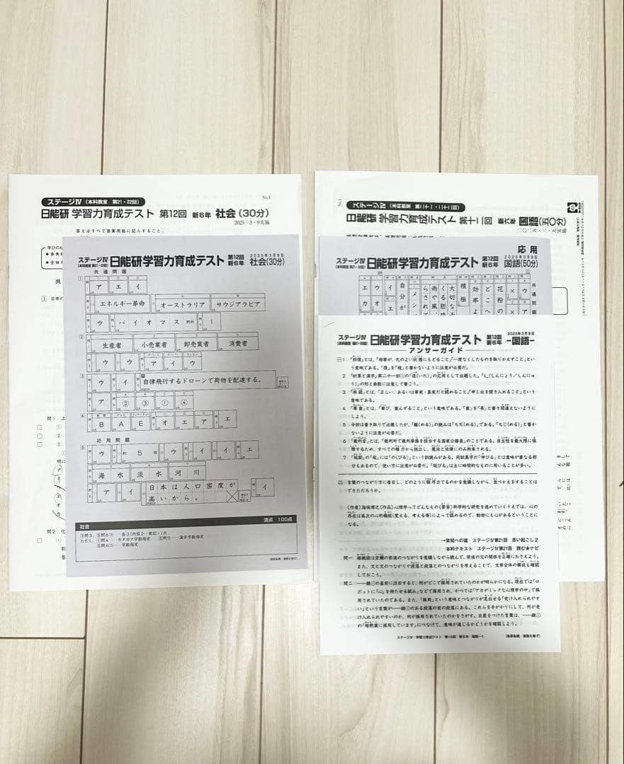 日能研 育成テスト★6年 前期(6/8までの12回分) 2025年度 最新版★