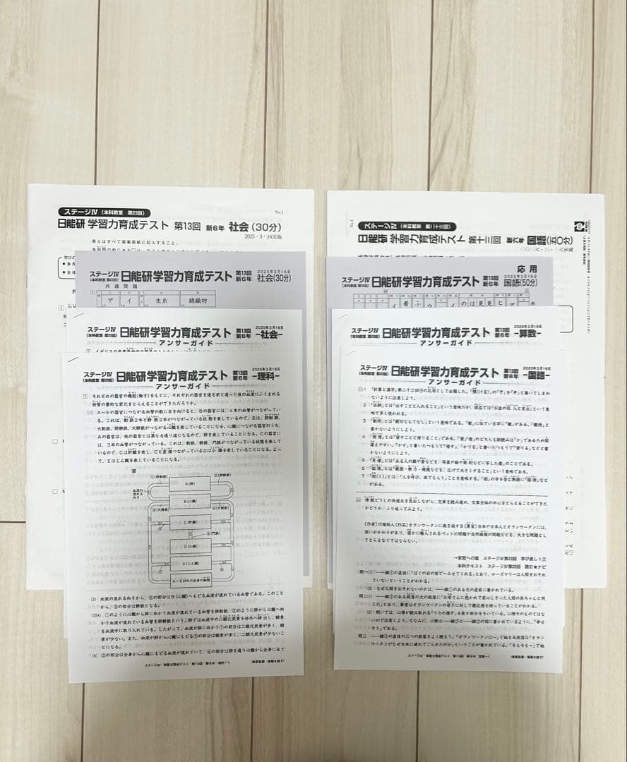 日能研 育成テスト★6年 前期(6/8までの12回分) 2025年度 最新版★