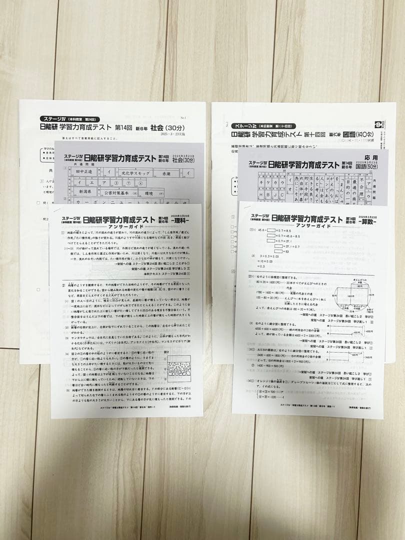 日能研 育成テスト★6年 前期(6/8までの12回分) 2025年度 最新版★