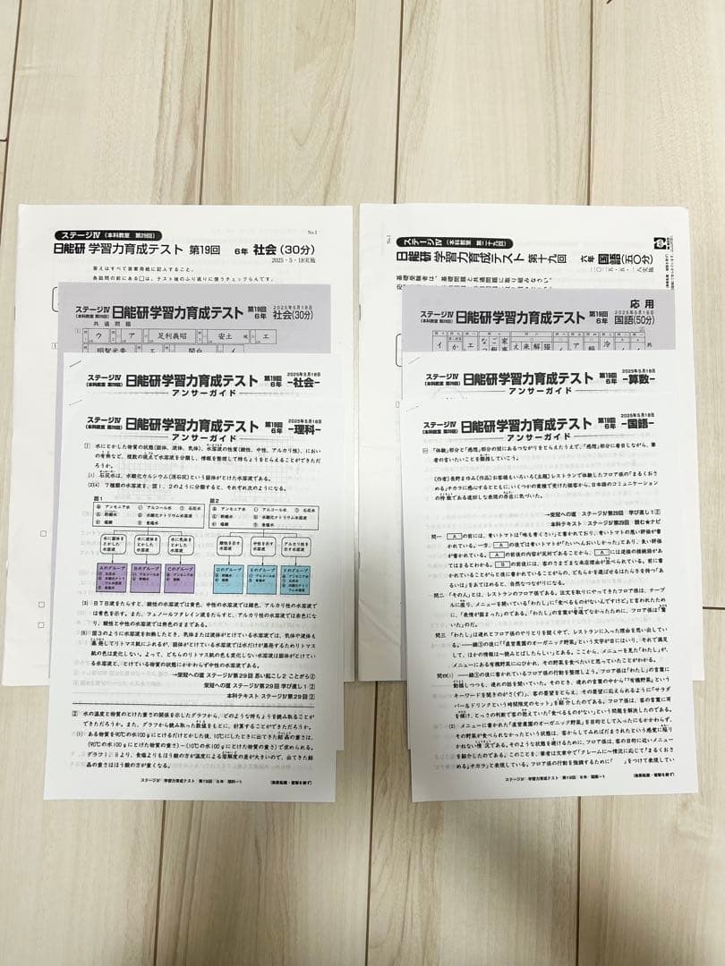 日能研 育成テスト★6年 前期(6/8までの12回分) 2025年度 最新版★
