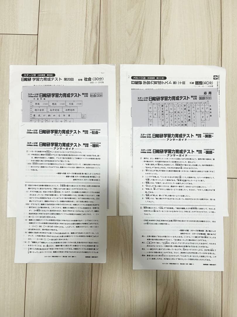 日能研 育成テスト★6年 前期(6/8までの12回分) 2025年度 最新版★