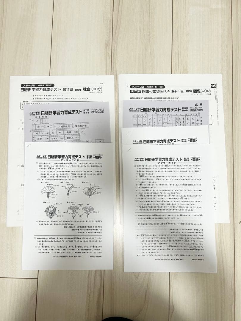 日能研 育成テスト★6年 前期(6/8までの12回分) 2025年度 最新版★