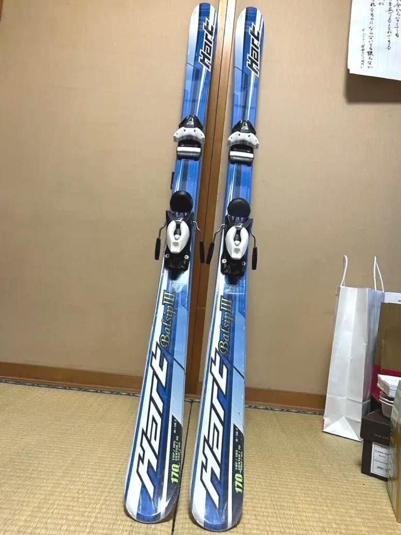 オフトレ最適　サマーゲレンデ用スキー板