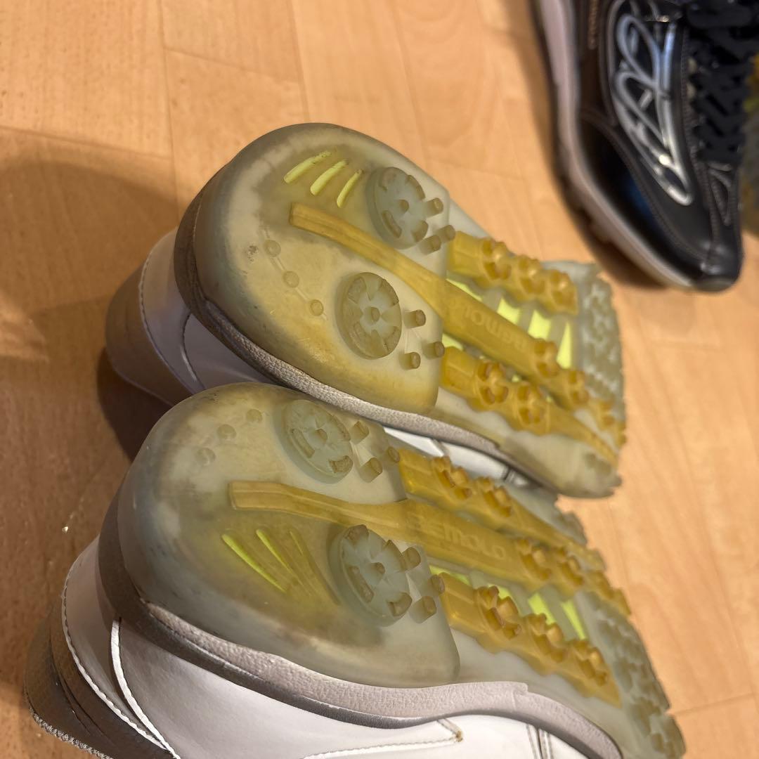 ビモロゴルフ 流線型