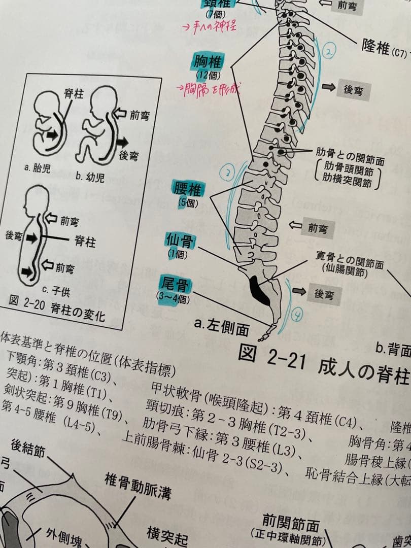 医療参考書 まとめ売り、バラ売り可