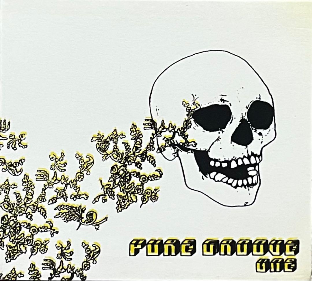 洋楽 V.A. Pure Groove 1&2 Listen To A Sound