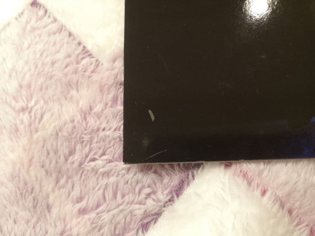 レディー・ガガ アヴリル・ラヴィーン ツアーパンフレット セット