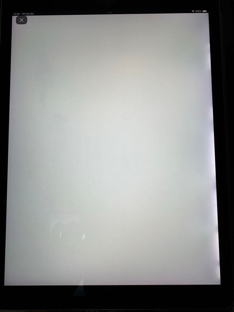 iPad Pro 12.9インチ 第2世代 Wi-Fiモデル 256GB