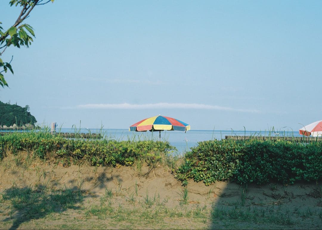 Mamiya Sekor C 80mm f1.9 作例あり