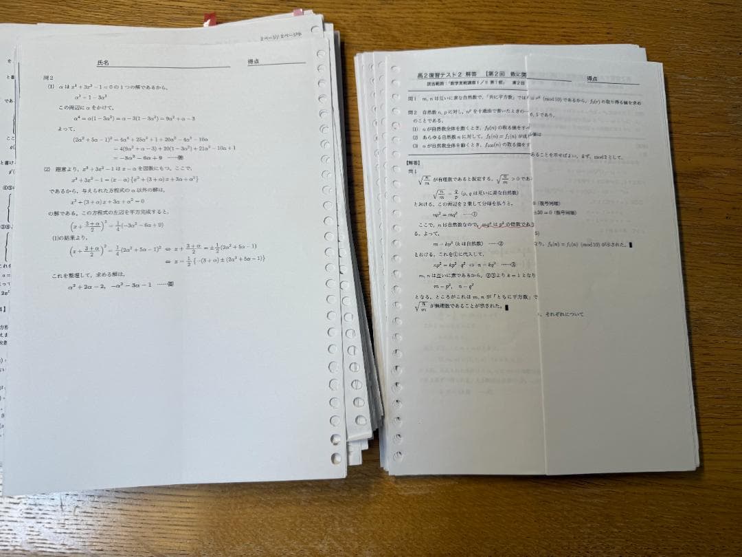 鉄緑会　高二数学実践　名物講師授業プリント・復習テスト(問題＆回答)・計算テスト