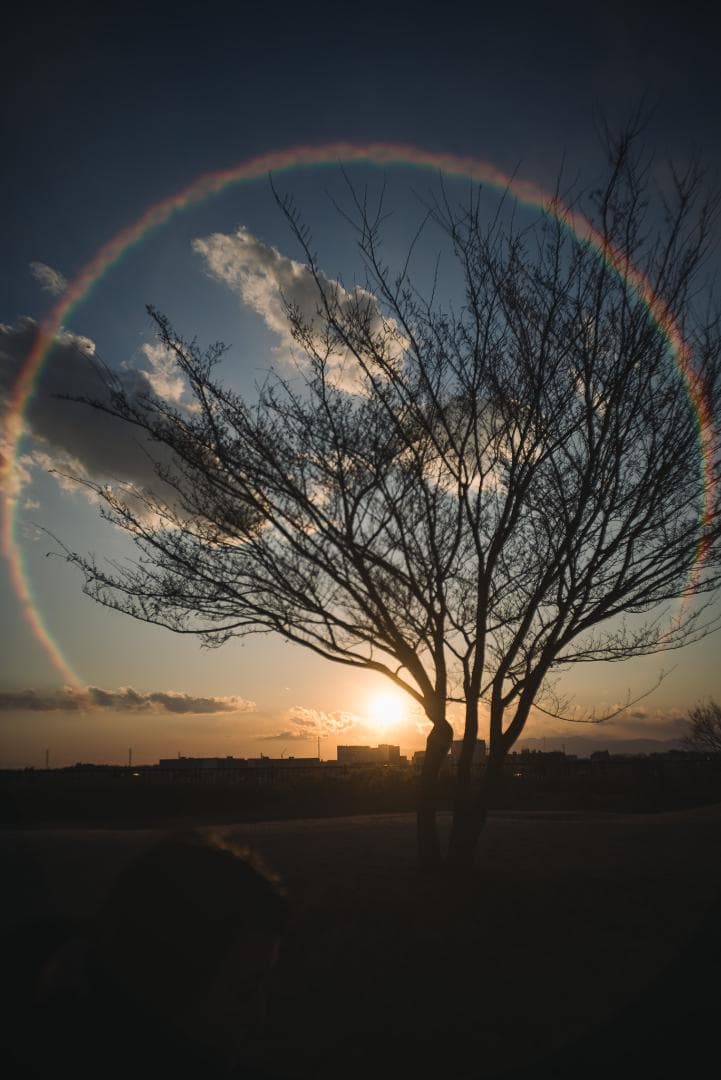 広角エルマー！Leica Elmar 35mm F3.5 オールドレンズ