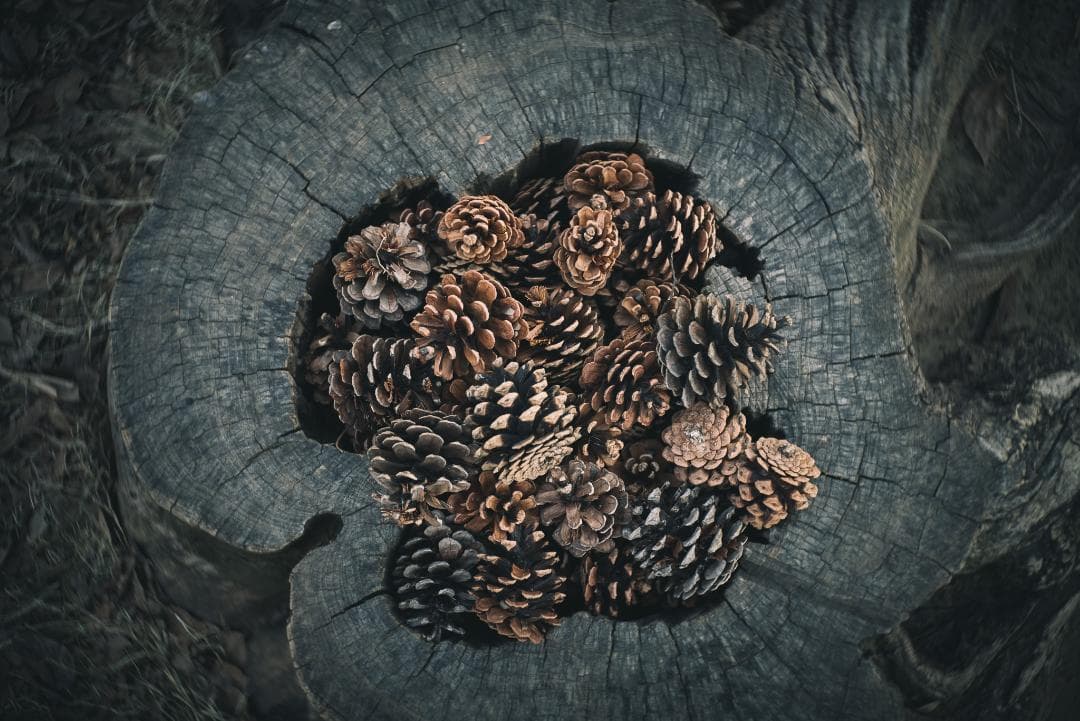 広角エルマー！Leica Elmar 35mm F3.5 オールドレンズ