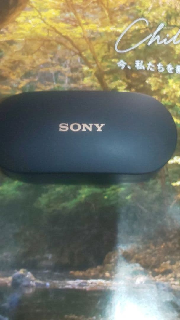 年始限定価格　ケース イヤホン両方バッテリー新品交換　wf-1000xm4おまけ