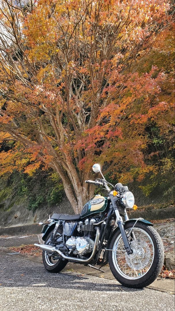 トライアンフ　ボンネビルT100　英国製　マフラー