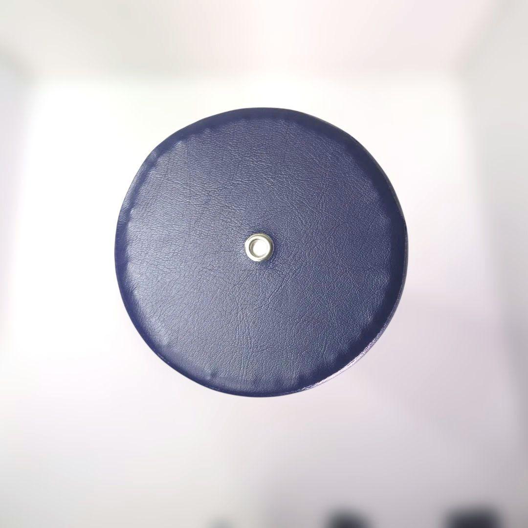 【極美品】LPN社 ストレッチポールEX ネイビー