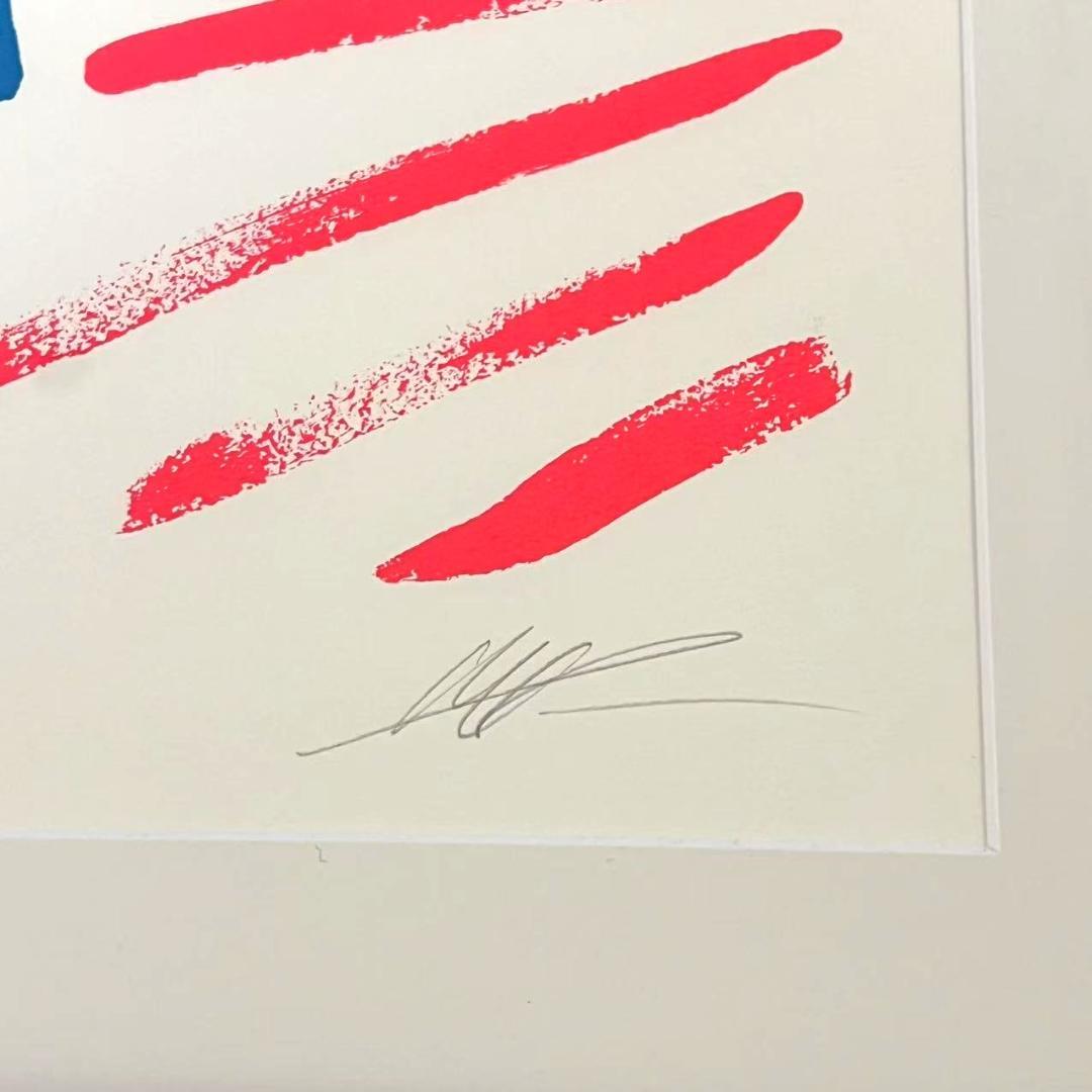 天野タケル シルクスクリーン 絵 Venus & Caudex サイン入り