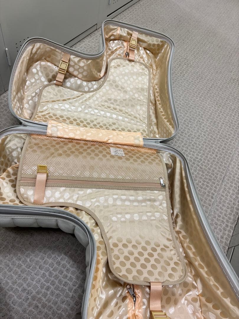 ⭐︎美品⭐︎未使用⭐︎NORICCO キャリーケース パステルグレージュクッション付き