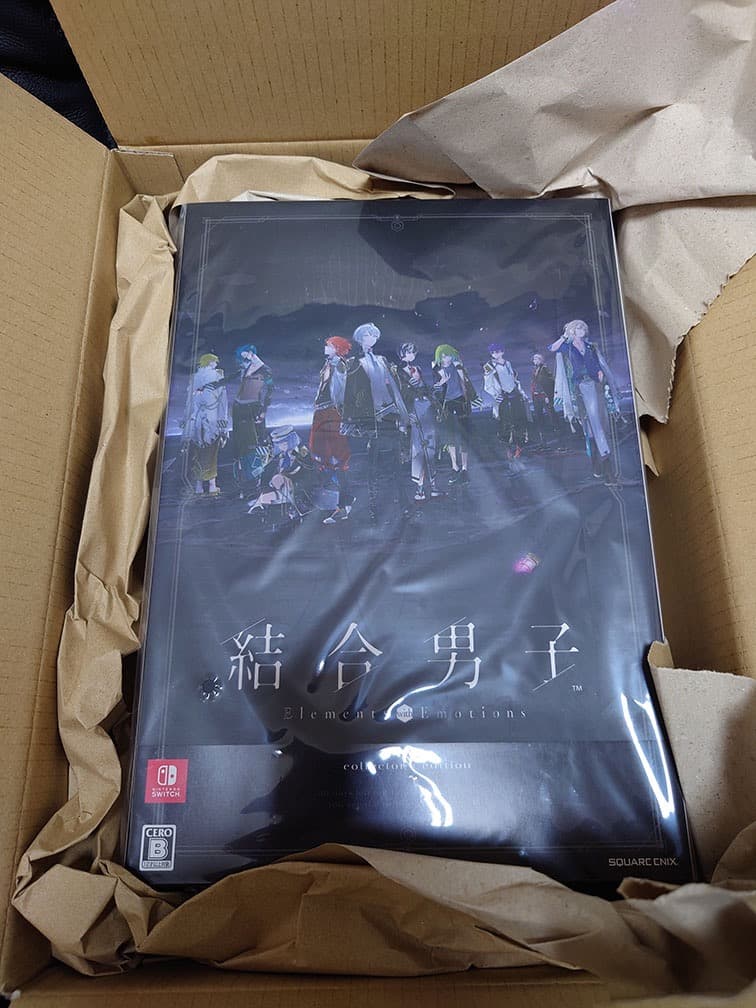 【新品未開封】Switch 結合男子 豪華特装版 コレクターズ・エディション