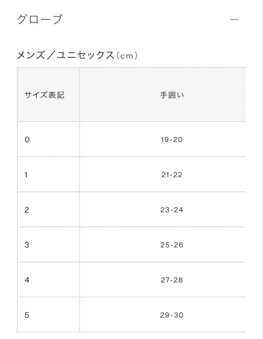 Goldwin ゴアテックスグローブ　美品