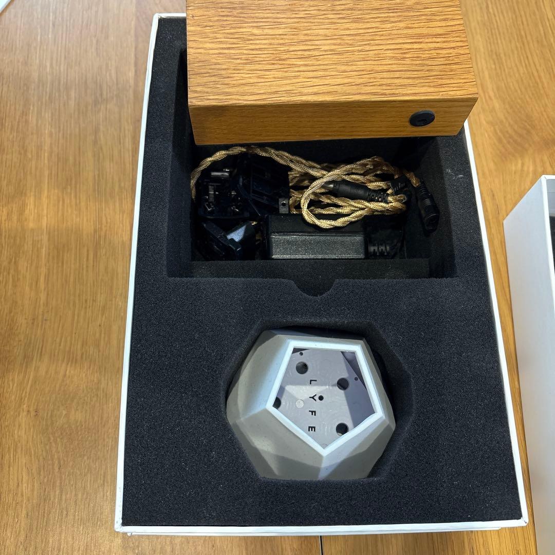 空中に植物を浮かせる 新しいプランター