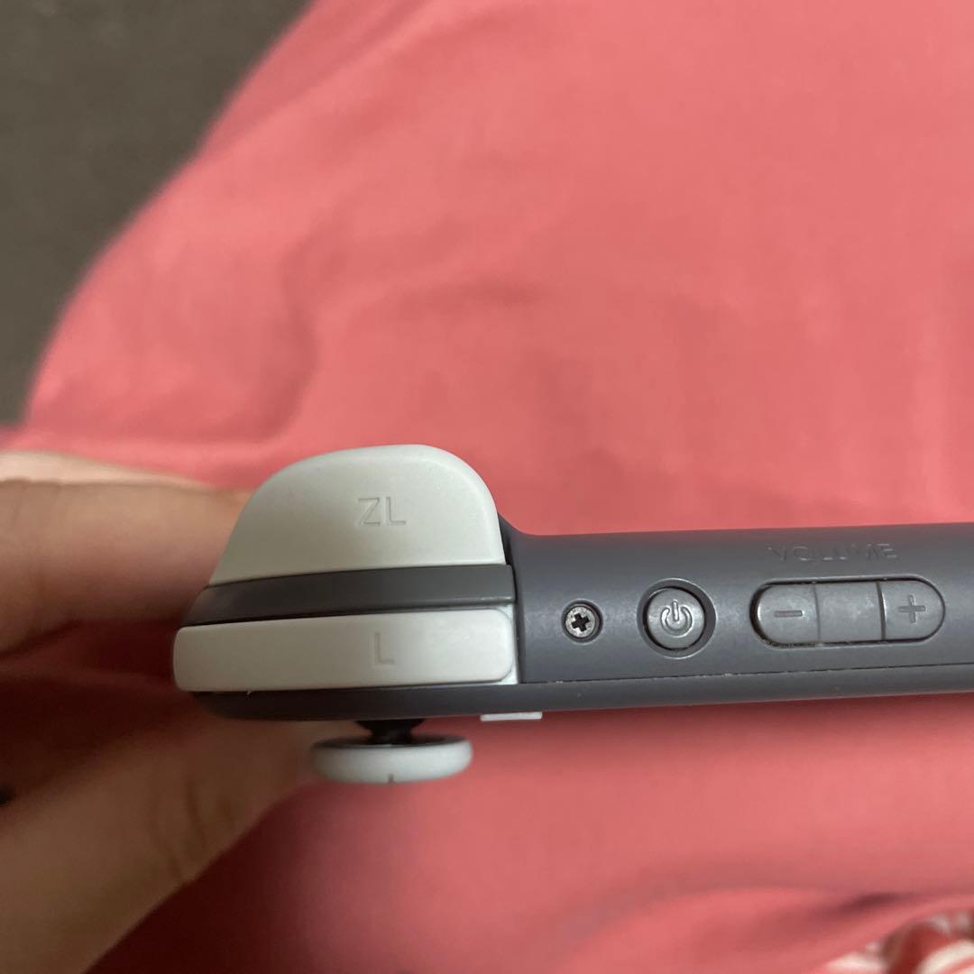 Nintendo Switch Nintendo SwitchLight