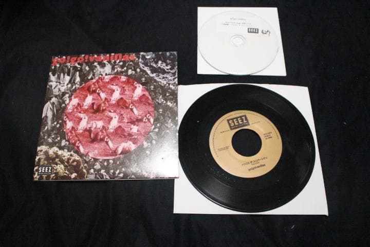 go!go!vanillas 人間賛歌 アクロスザユニバーシティ CD-R付