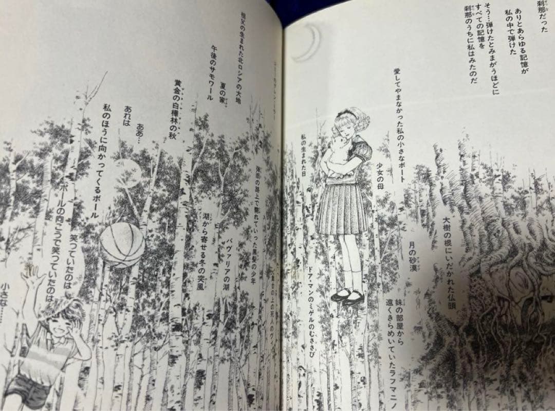 【集英社】内田善美イラストクロス＋草迷宮・草空間＋星の時計のLiddell×3