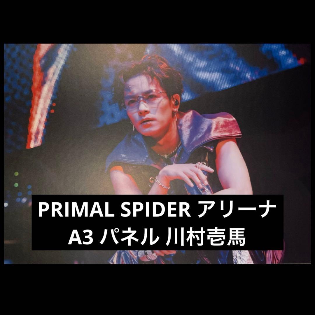 THE RAMPAGE PRIMAL SPIDER パネル 川村壱馬
