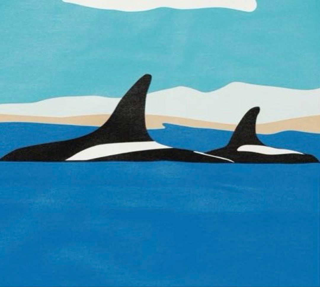 トップス DESCENDANT/ENVIRONMENT ORGANIC COTTON LS