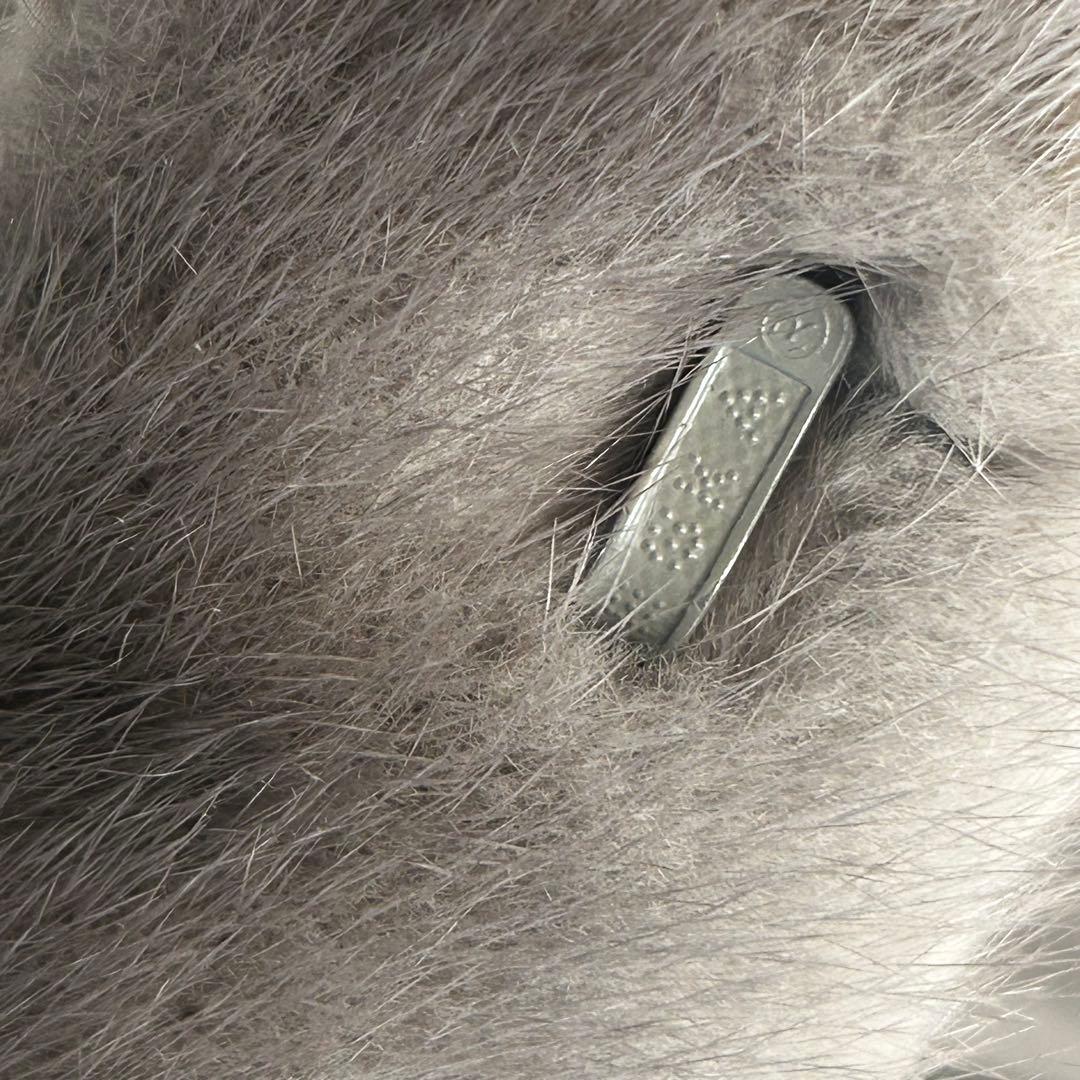 d*2様 EMBA サファイアミンク 毛皮コート グレー 裏地ダメージ 13号