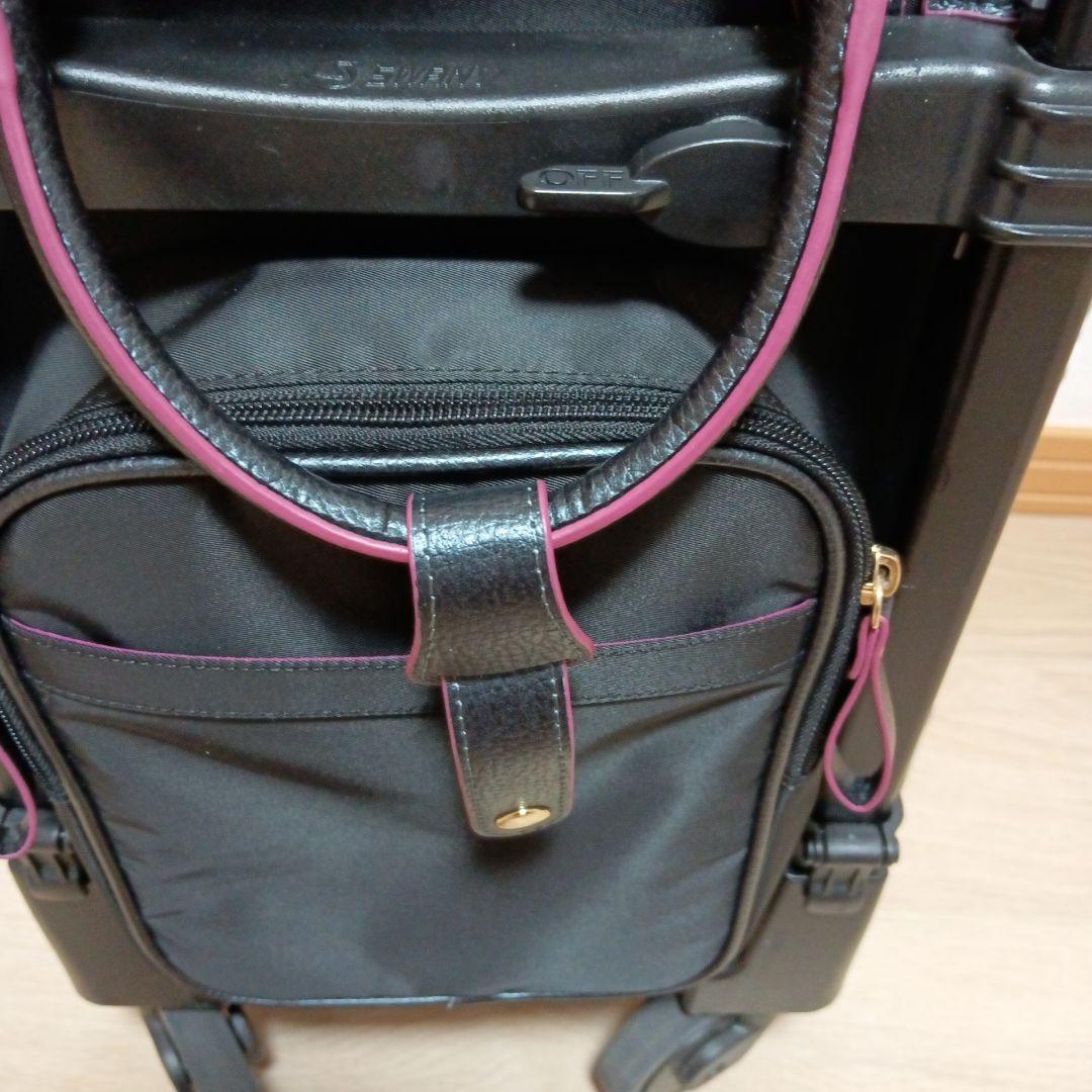 あすかスワニーキャリーバッグ