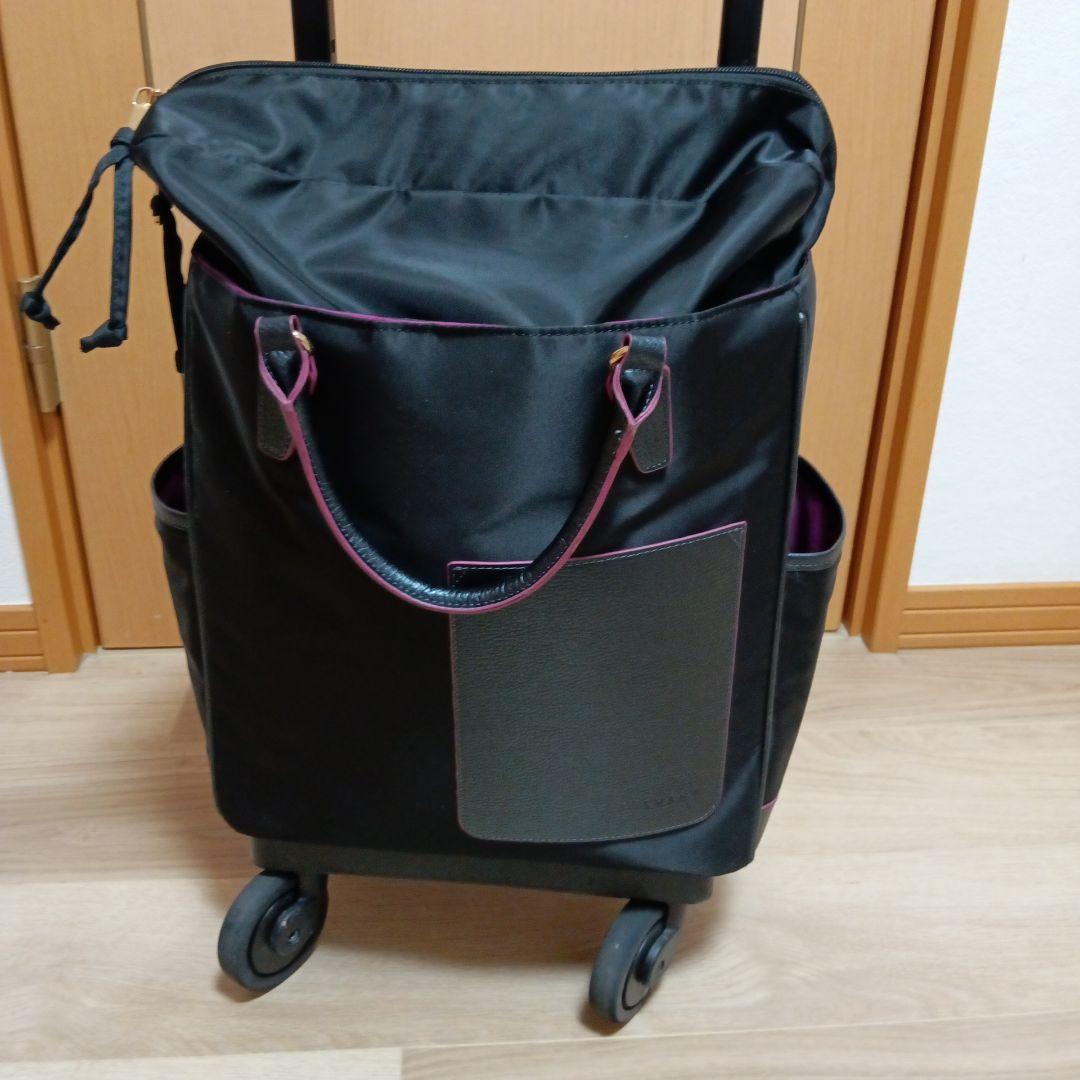 あすかスワニーキャリーバッグ