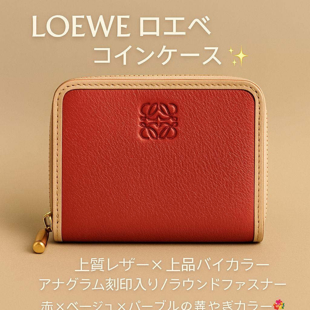【お喋り大好きママ】LOEWE ケース＋メガネケース 2点セット