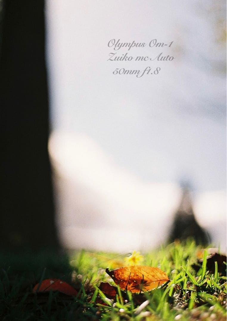 ★完動品＊美品★OM-1/zuiko f1.8★初期保証＊作例多数！