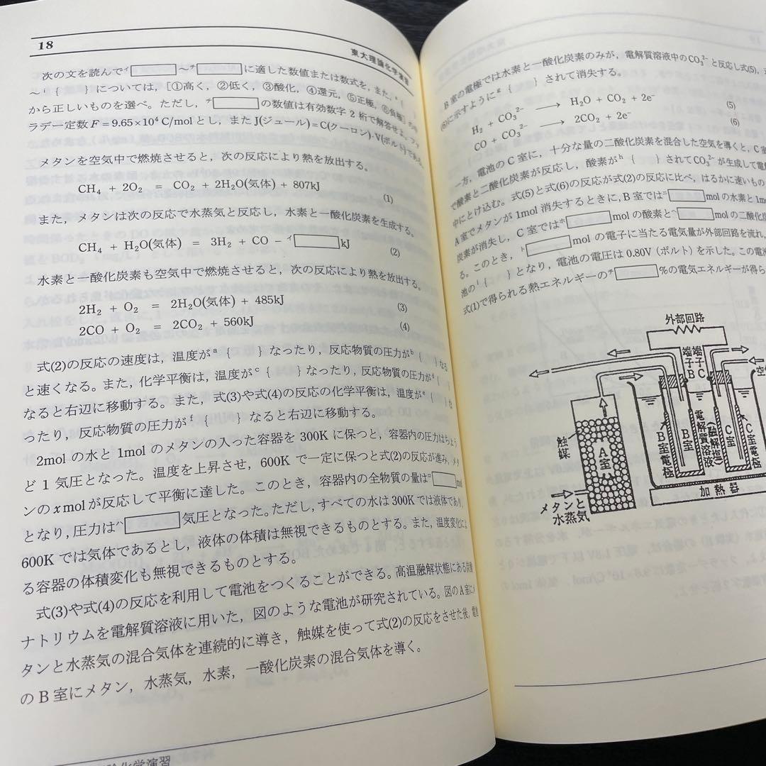 SEG 東大化学　冬季講習　一式　解答付き