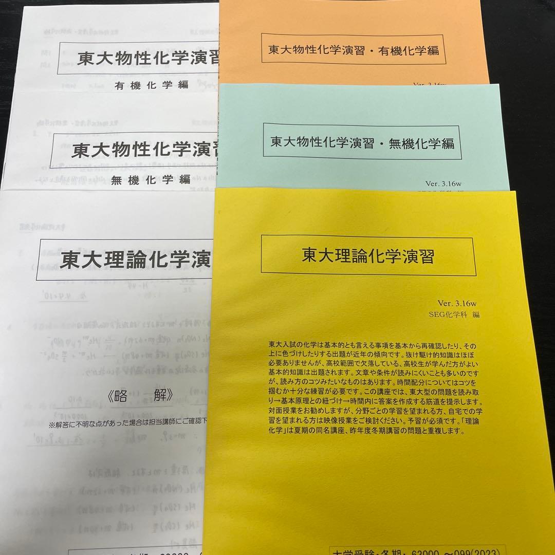 SEG 東大化学　冬季講習　一式　解答付き