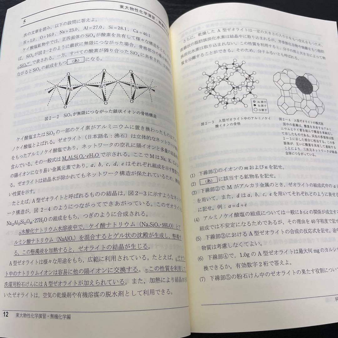 SEG 東大化学　冬季講習　一式　解答付き
