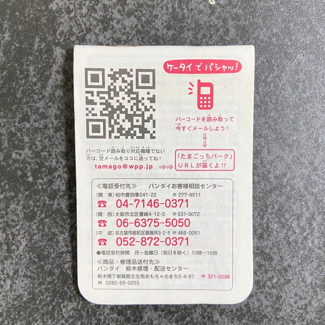 祝ケータイかいツー!たまごっちプラス : 育てる!遊ぶ!みんなのケーたま新聞