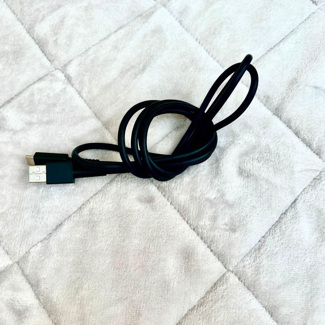 Nintendo Switch Lite ターコイズ｜動作良好｜ケース付｜箱なし