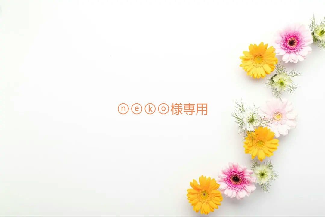 「Switch OVER REQUIEMZ 特装版」＋α