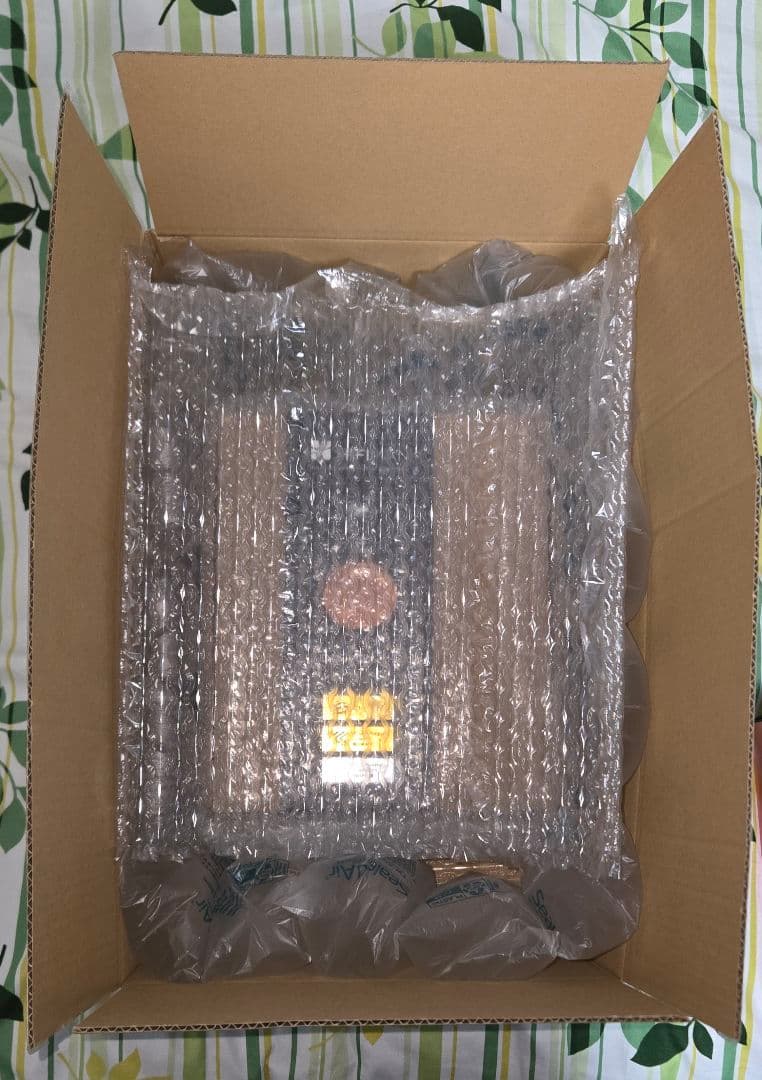 新品未開封 HIFIMAN Sundara Closed-Back