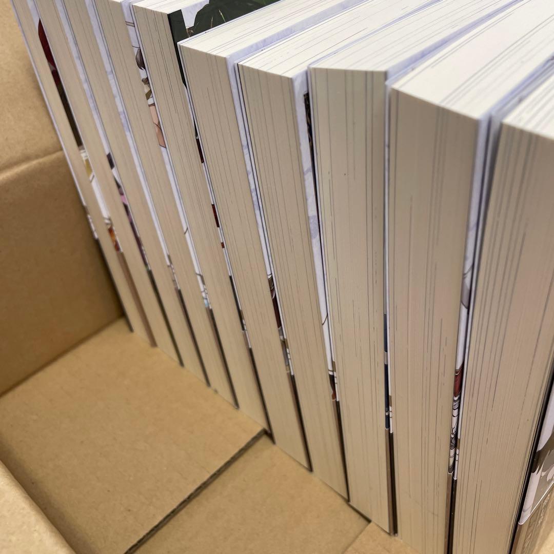 穏やか貴族の休暇のすすめ　1〜10巻