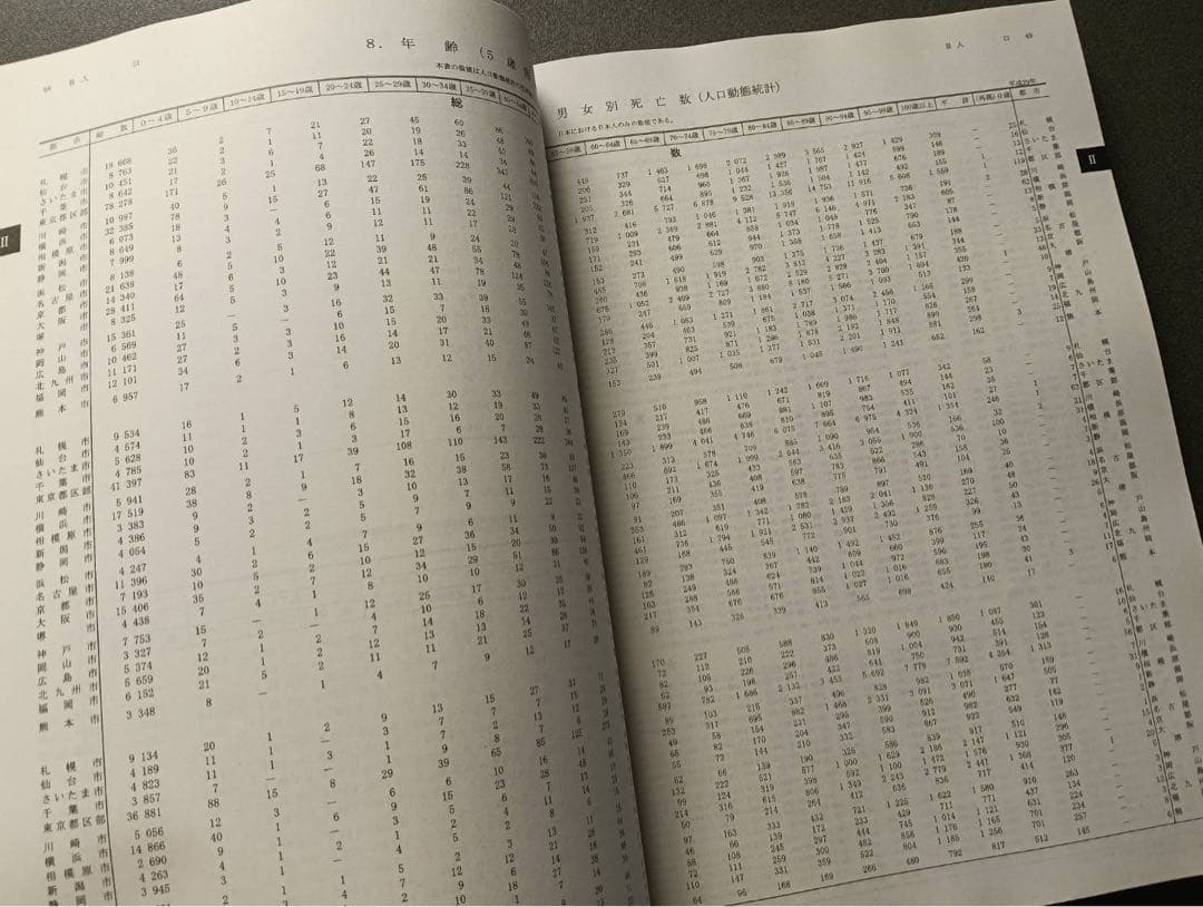 大都市比較統計年表 平成29年