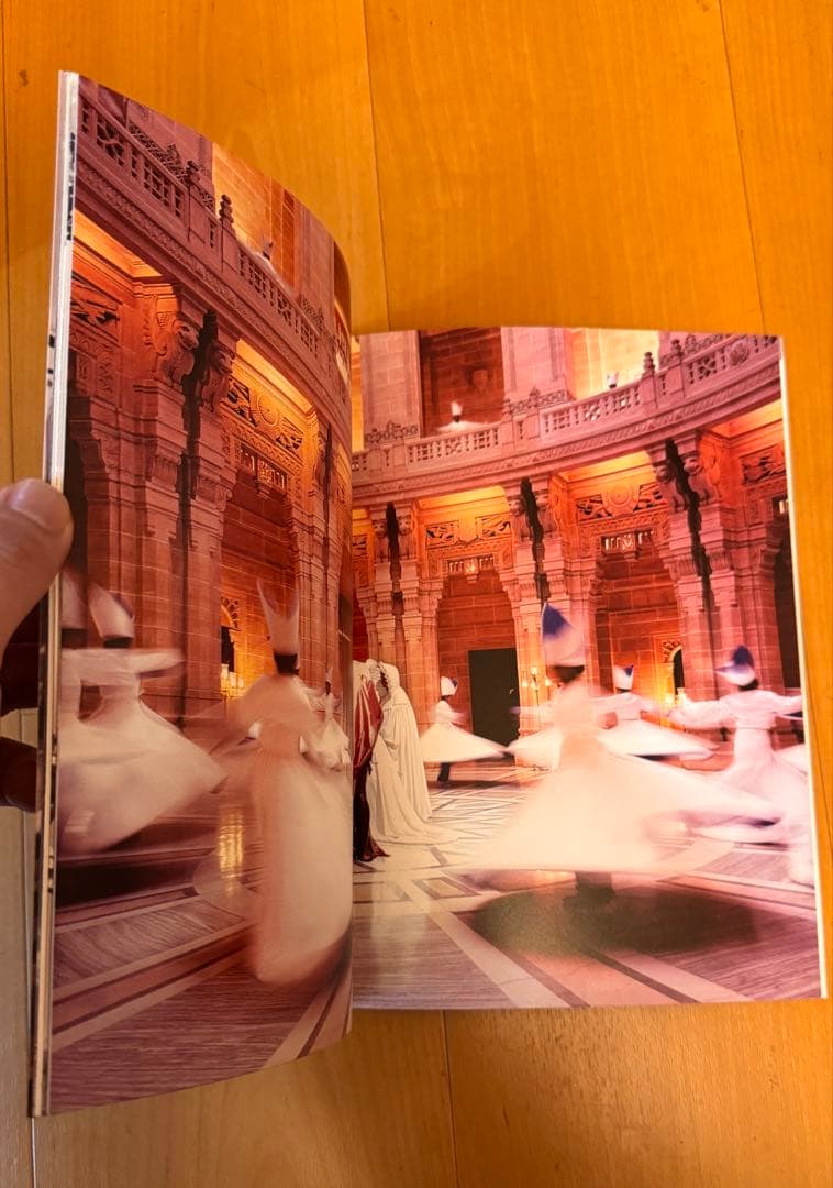 貴重！落下の王国 初公開時パンフレット