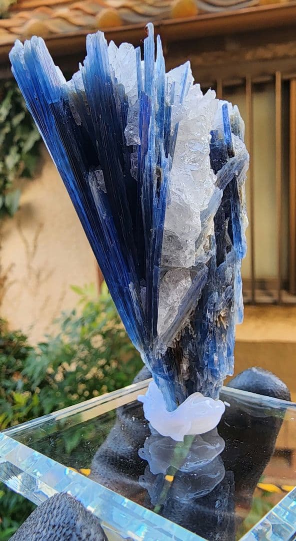 ブラジル・ミナスジェライス州産　極上ブルーカイヤナイト 原石 結晶　クォーツ共生