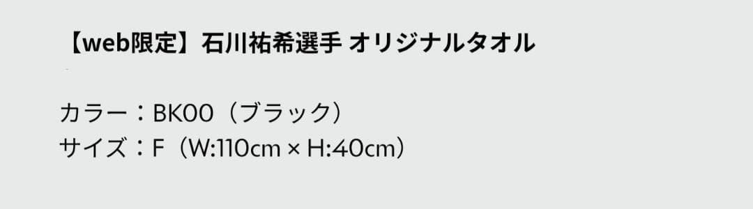 2024年 DESCENTE デサント 石川祐希選手 コラボレーション商品